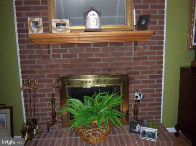 17530 Wesley Chapel Road Monkton, MD 21111 - Photo 27 of 30 close up two sided fireplace also in living room