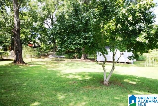 1000 Roberts Street Southwest Jacksonville, AL 36265 - Photo 40 of 40