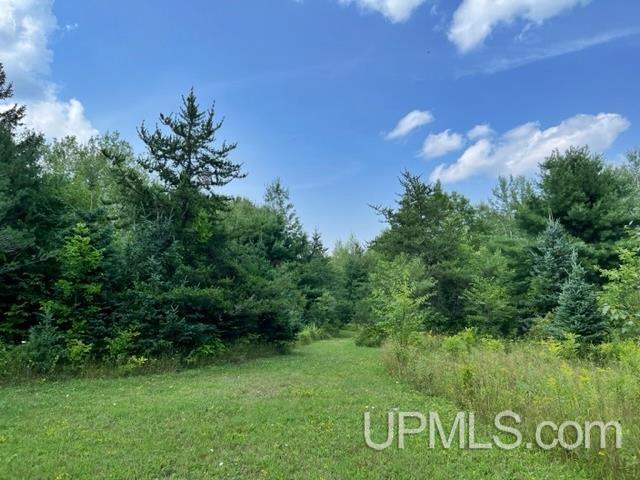 T-wi Birch Hill Road Amberg, WI 54102 - Photo 17 of 21