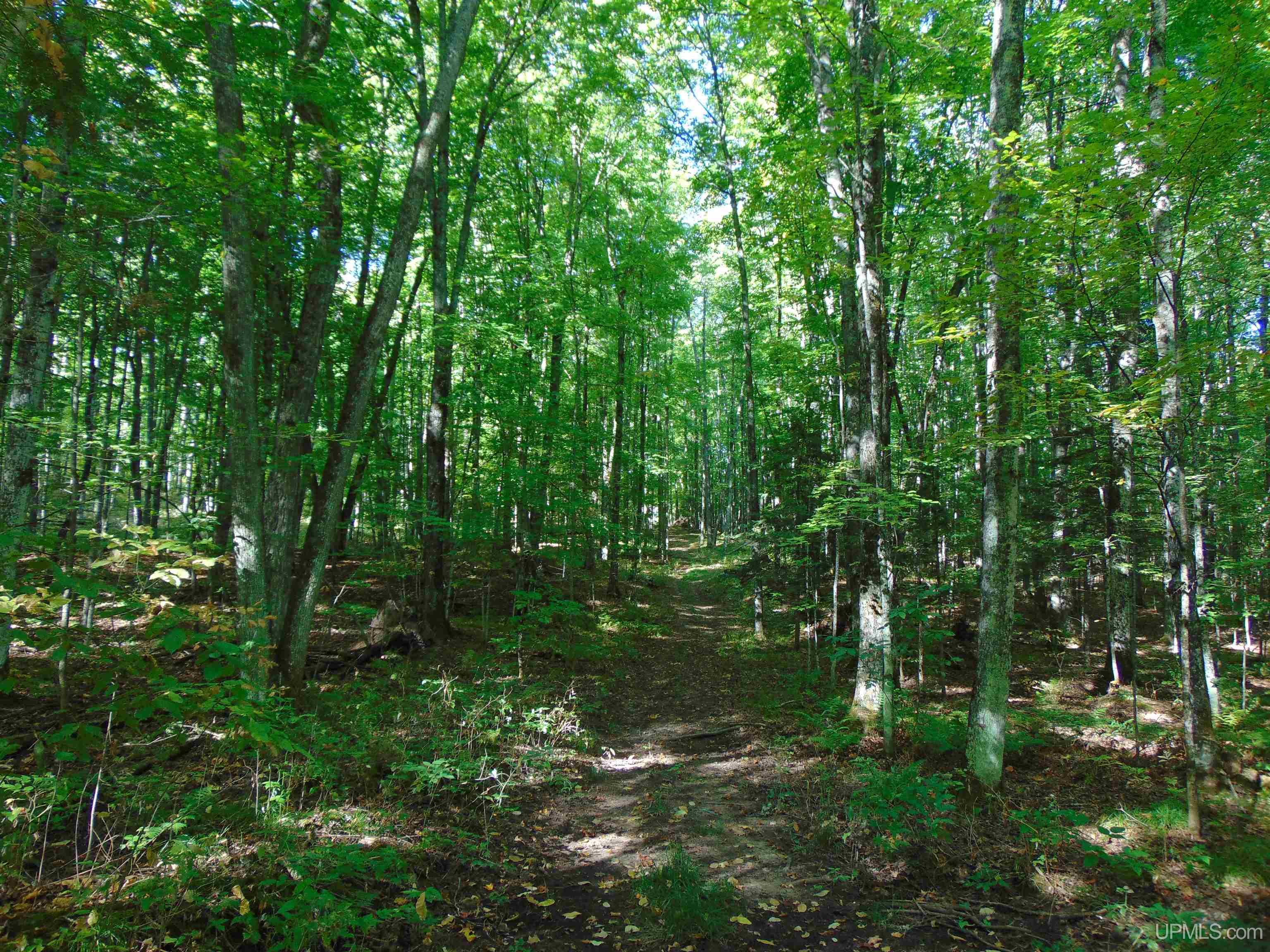 14571 Holombo Road Bruce Crossing, MI 49912 - Photo 20 of 30