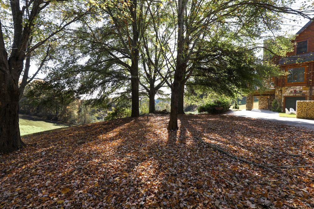 2154 Apple Pie Ridge Road Alto, GA 30510 - Photo 76 of 81