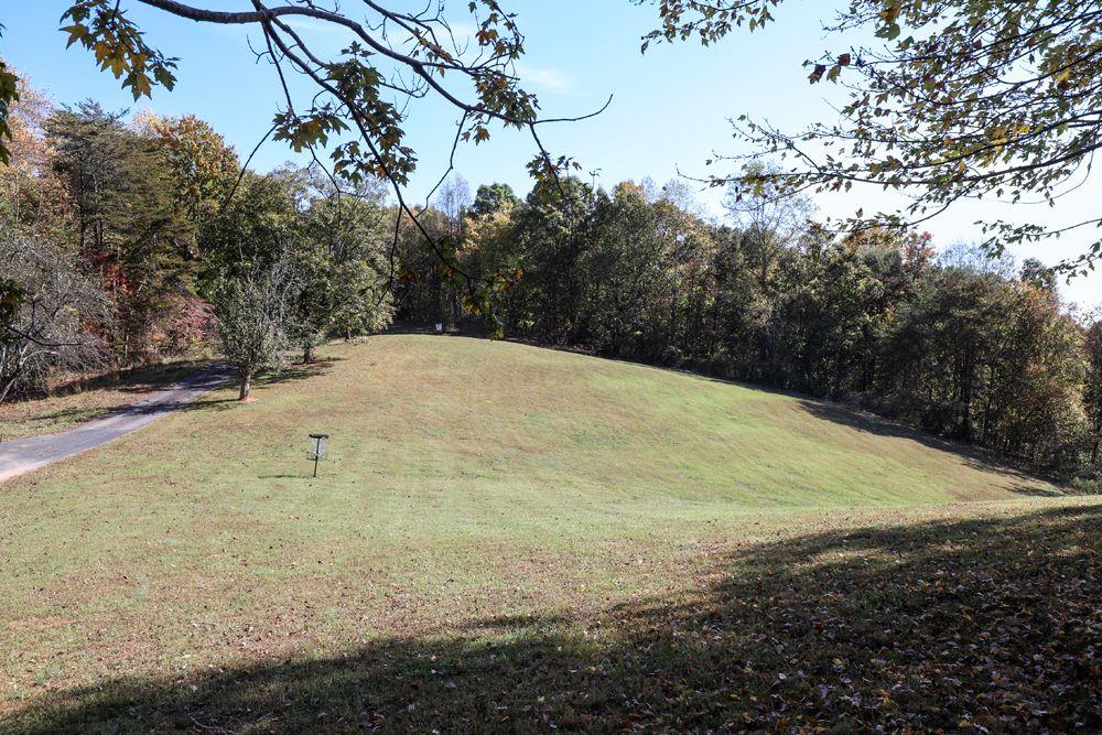 2154 Apple Pie Ridge Road Alto, GA 30510 - Photo 77 of 81 a view of a yard with an outdoor space