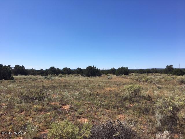 277 Snowflake Az 85937 Snowflake, AZ 85937 - Photo 2 of 4