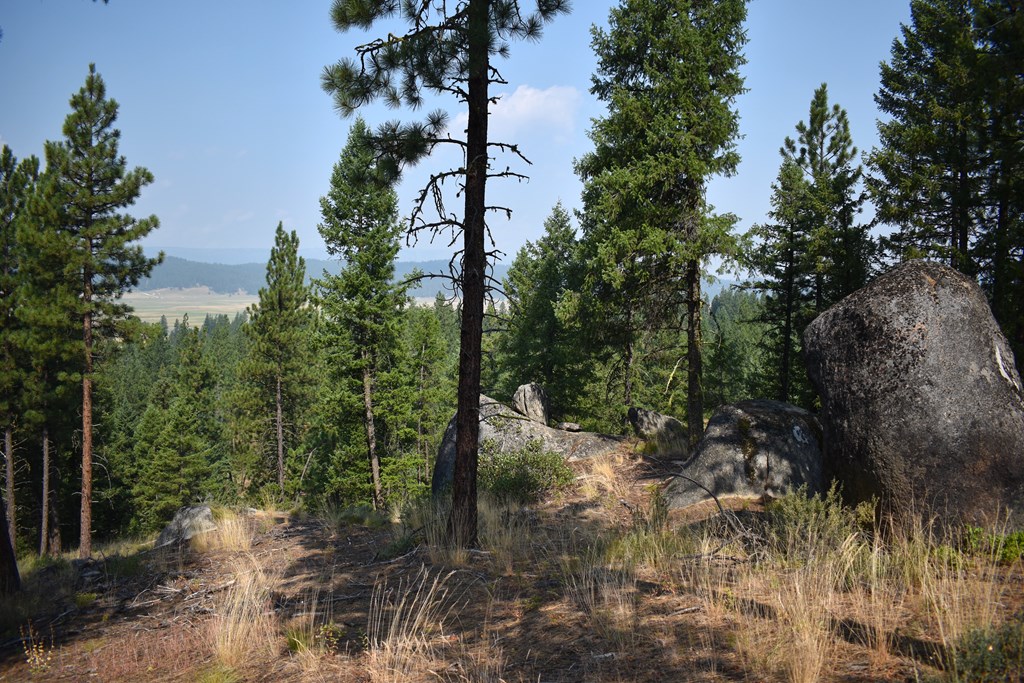 33 San Ignacio Way, Unit 7 Cascade, ID 83611 - Photo 19 of 24