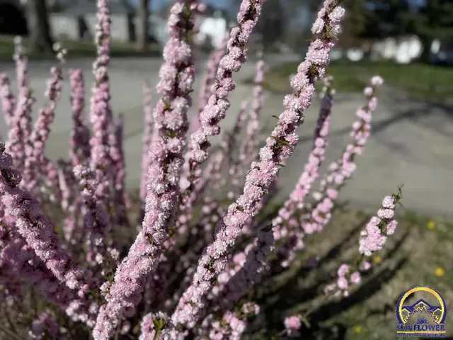 $159,000 | 200 Miami Street, Hiawatha, KS 66434