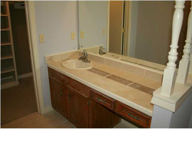 214 Fox Meadows Road Jackson, MS 39212 - Photo 6 of 8 Master Bath