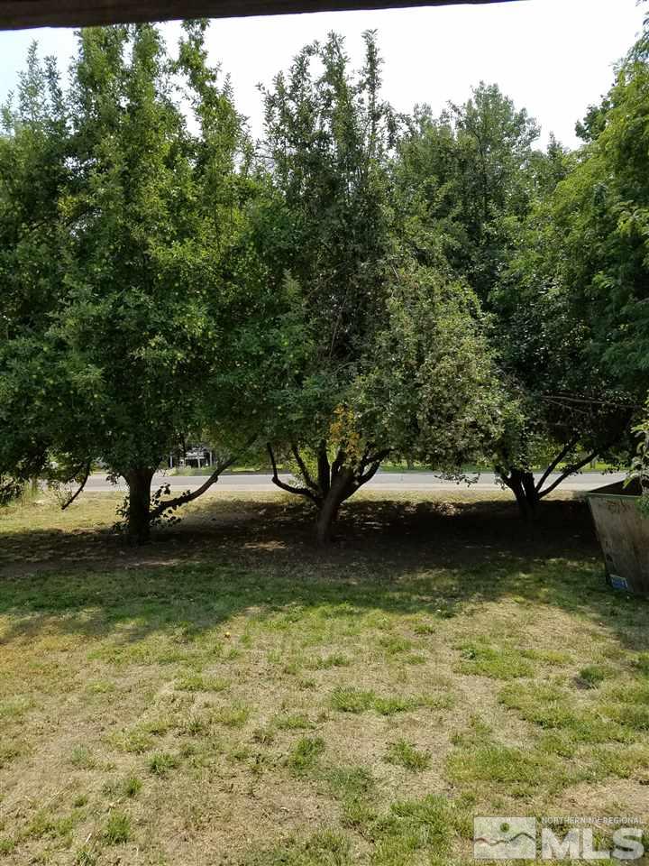 4736 Alcorn Road Fallon, NV 89406 - Photo 11 of 11 a view of a tree next to a lake with a yard