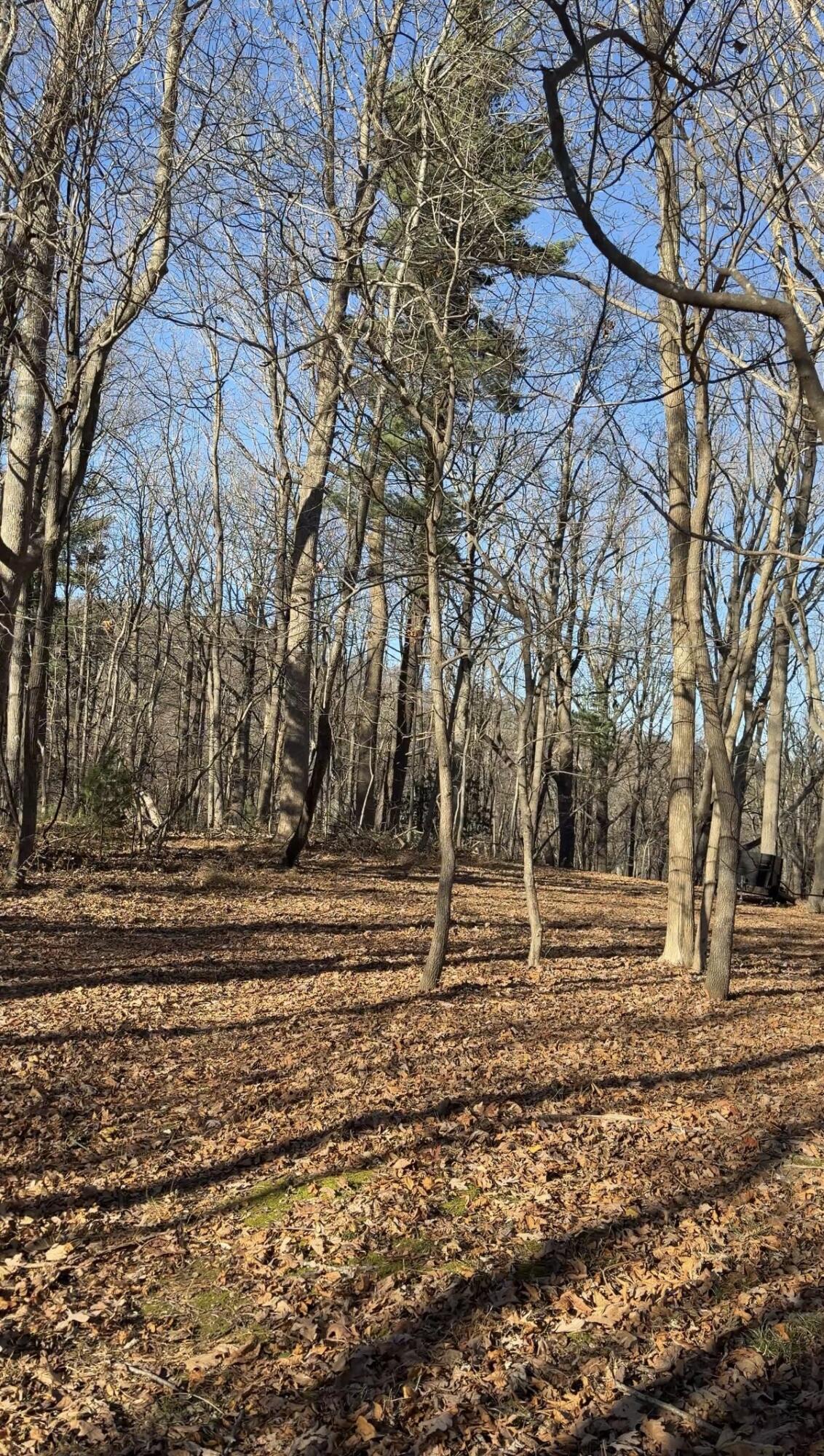 0 Overlook Ridge Drive Southeast Copper Hill, VA 24079 - Photo 11 of 31