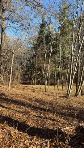 a view of a backyard of the house
