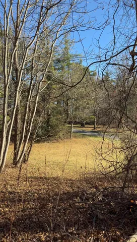 a view of a yard with plants and trees