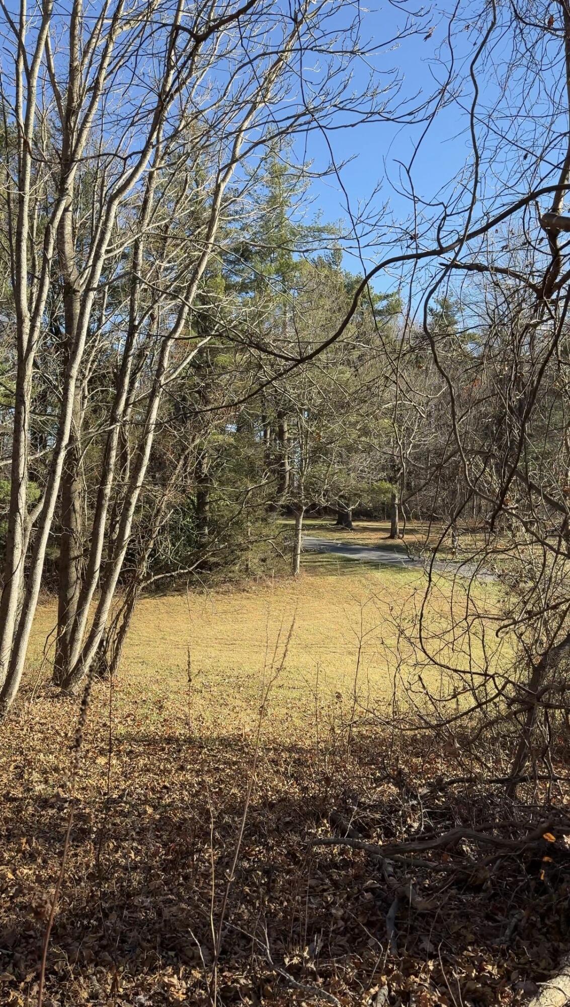 0 Overlook Ridge Drive Southeast Copper Hill, VA 24079 - Photo 15 of 31