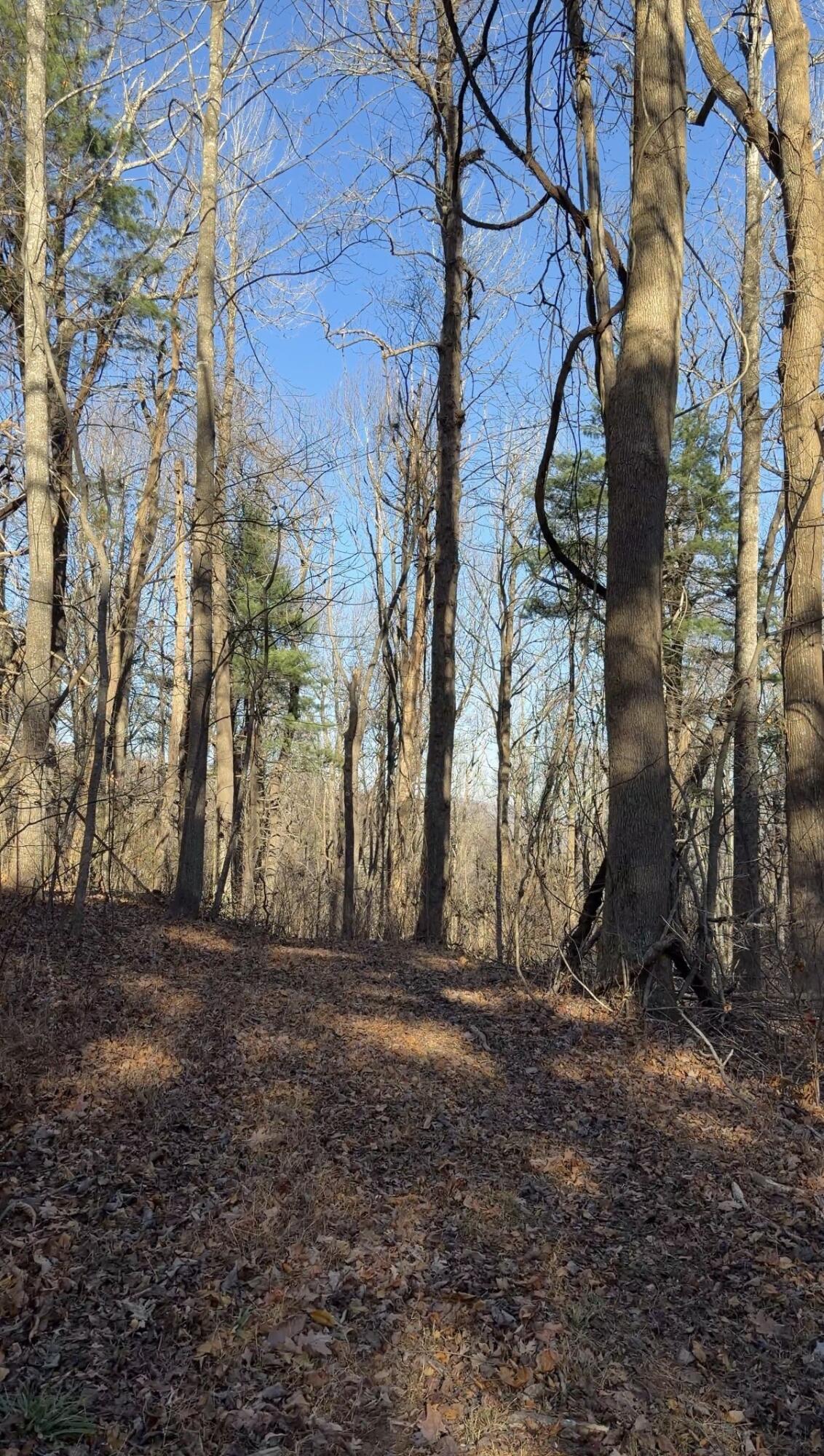 0 Overlook Ridge Drive Southeast Copper Hill, VA 24079 - Photo 17 of 31 a view of a backyard of the house