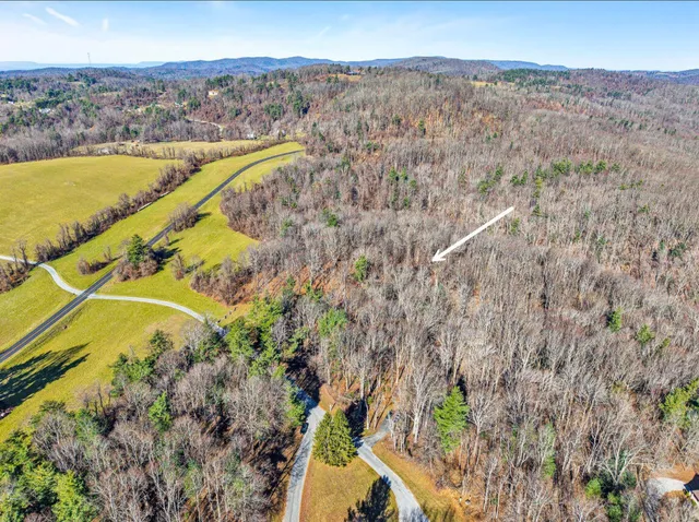 a view of yard along with trees