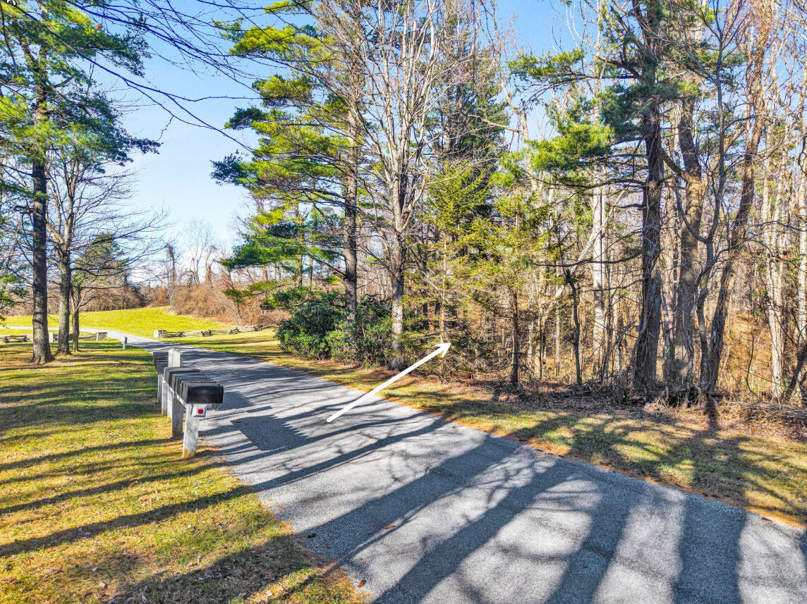 0 Overlook Ridge Drive Southeast Copper Hill, VA 24079 - Photo 22 of 31 a view of yard along with trees