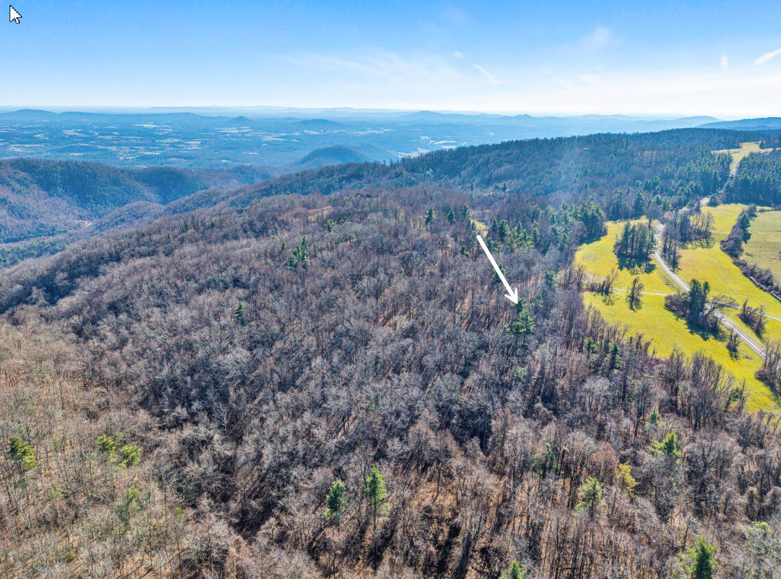 0 Overlook Ridge Drive Southeast Copper Hill, VA 24079 - Photo 24 of 31 a view of a dry yard with wooden fence