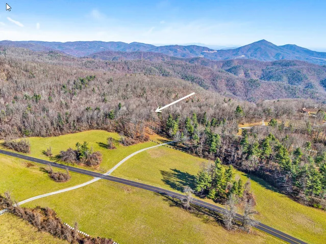 a backyard of a house with lots of plants and tree