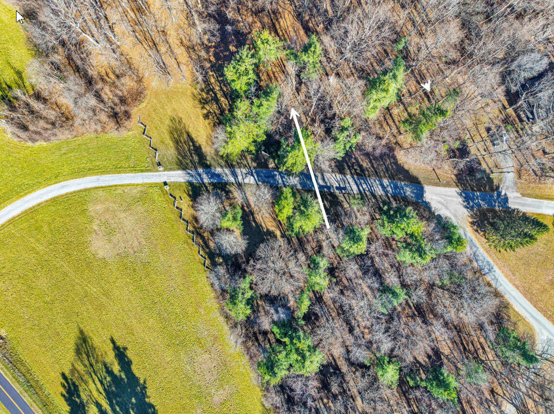 0 Overlook Ridge Drive Southeast Copper Hill, VA 24079 - Photo 27 of 31 a view of a yard with a tree