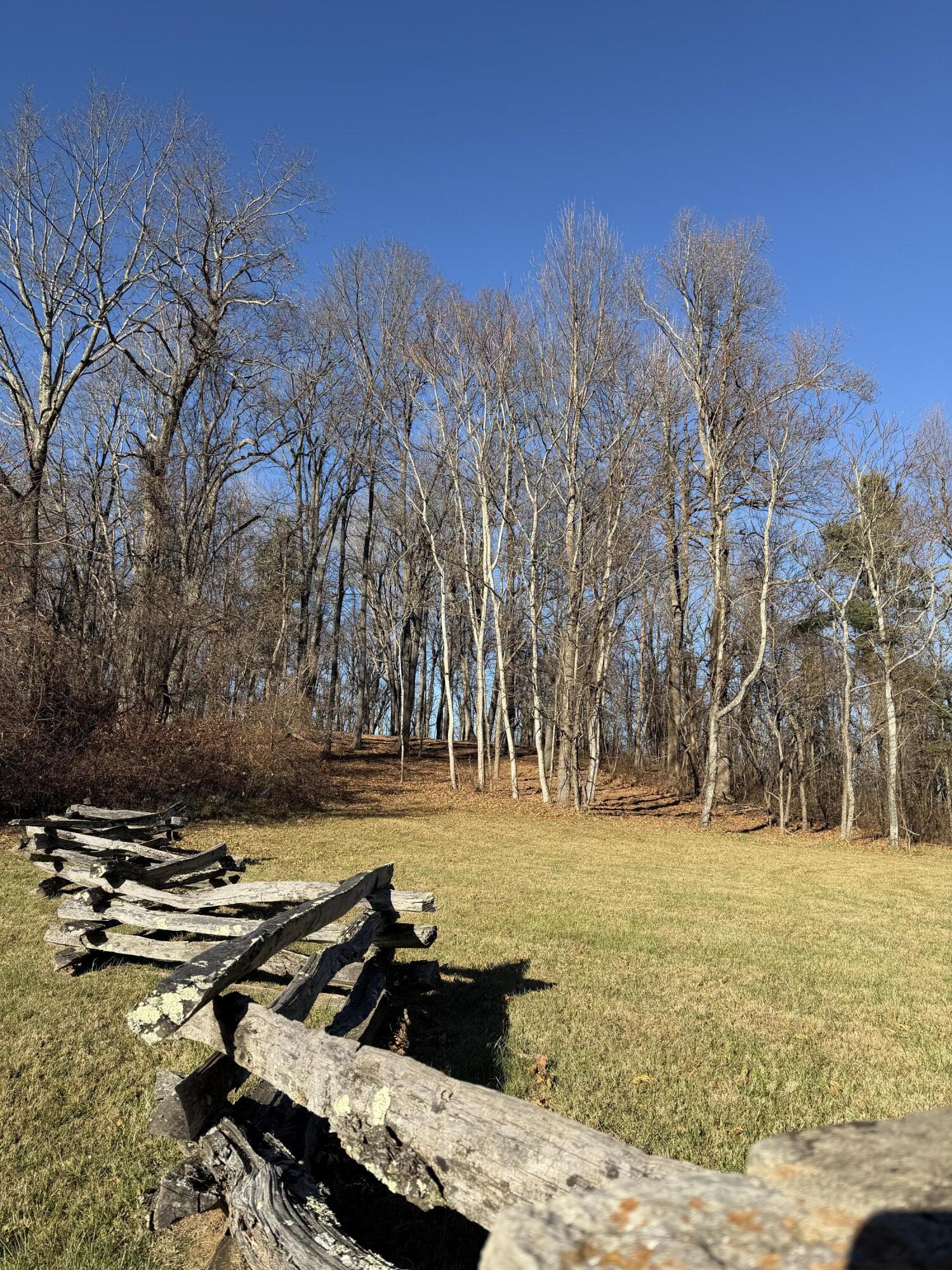 0 Overlook Ridge Drive Southeast Copper Hill, VA 24079 - Photo 4 of 31 a view of a yard with trees in the background