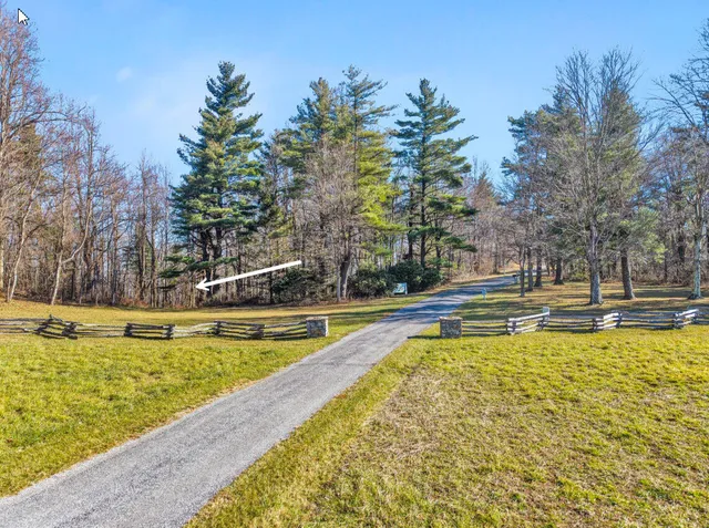 a view of dirt yard with a large tree