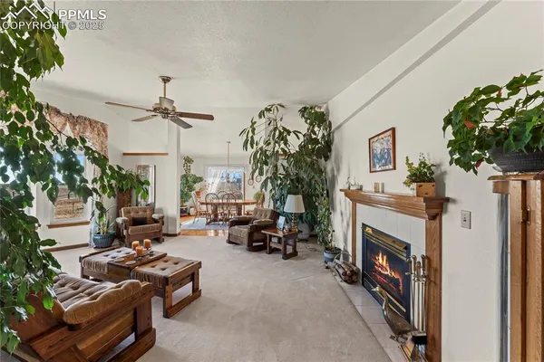 a living room with furniture and a fireplace