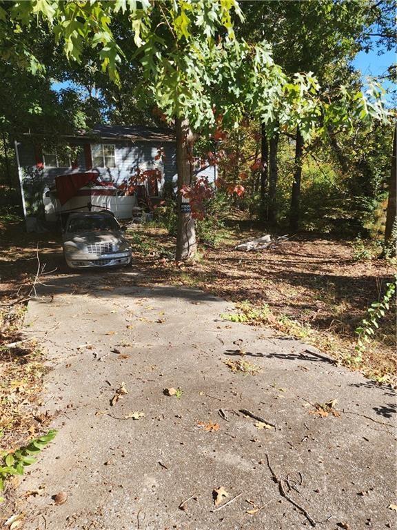 a view of a yard with a tree