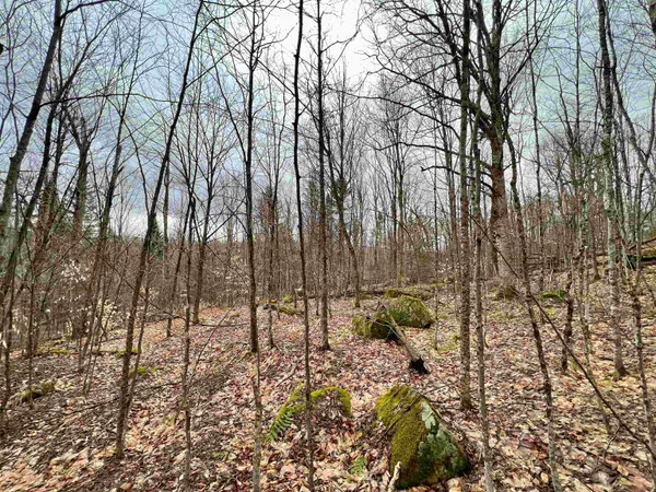 $99,900 | - Old Quarry Road, Unit 14 & 15, West Charleston, VT 05872