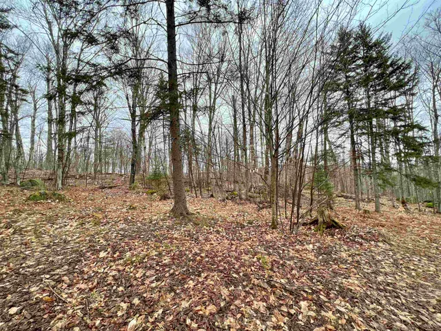 $119,500 | - Old Quarry Road, Unit 14 & 15, West Charleston, VT 05872