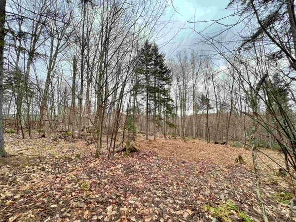 $99,900 | - Old Quarry Road, Unit 14 & 15, West Charleston, VT 05872