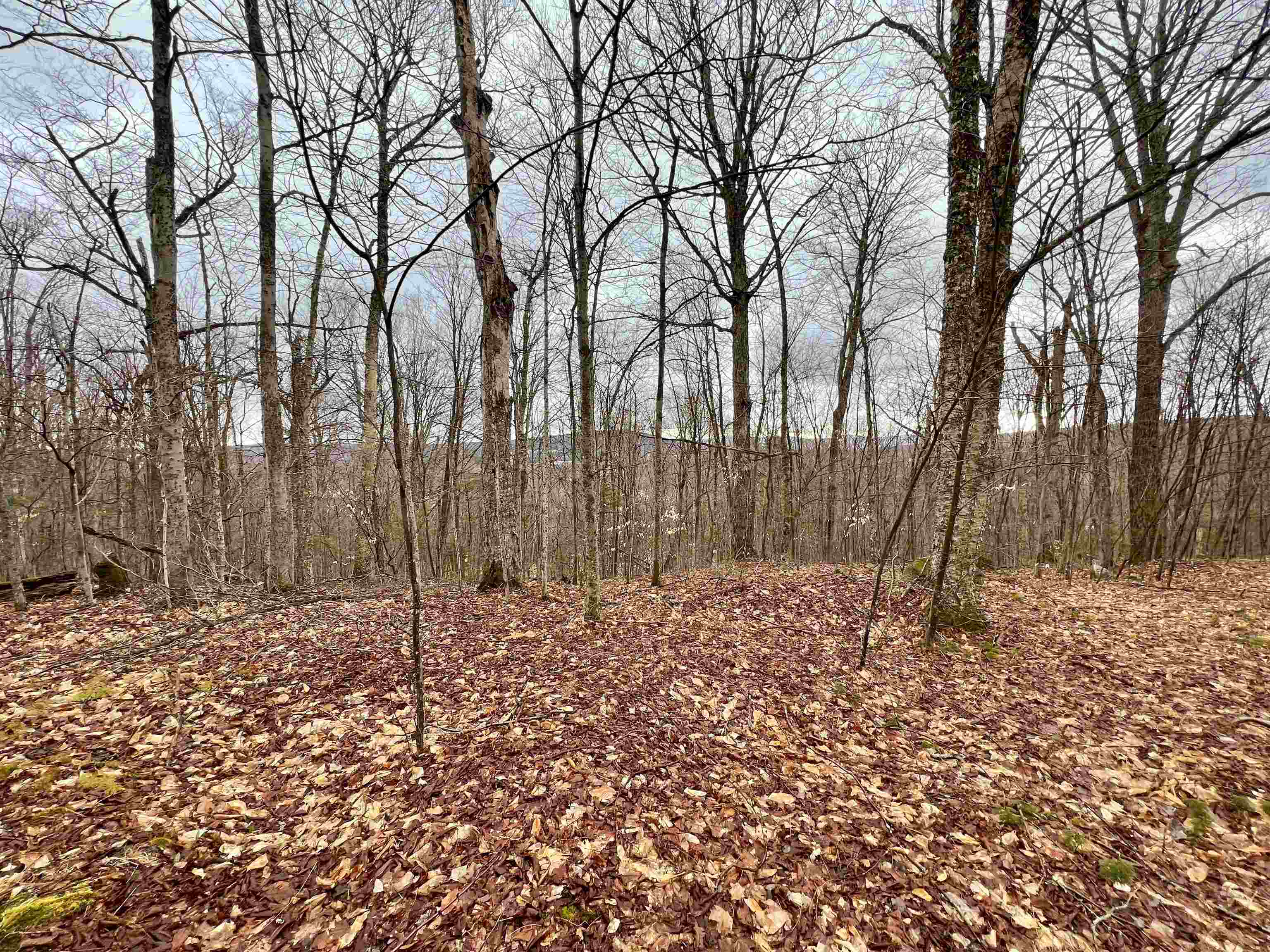 - Old Quarry Road, Unit 14 & 15 West Charleston, VT 05872 - Photo 15 of 34