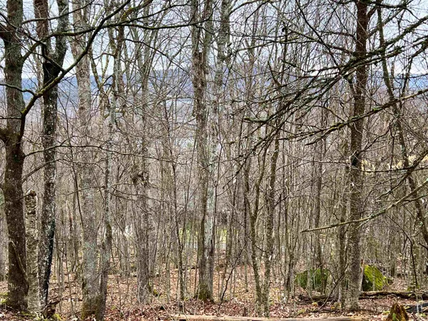 $99,900 | - Old Quarry Road, Unit 14 & 15, West Charleston, VT 05872