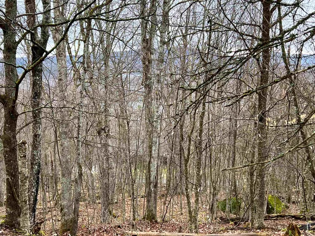 $119,500 | - Old Quarry Road, Unit 14 & 15, West Charleston, VT 05872