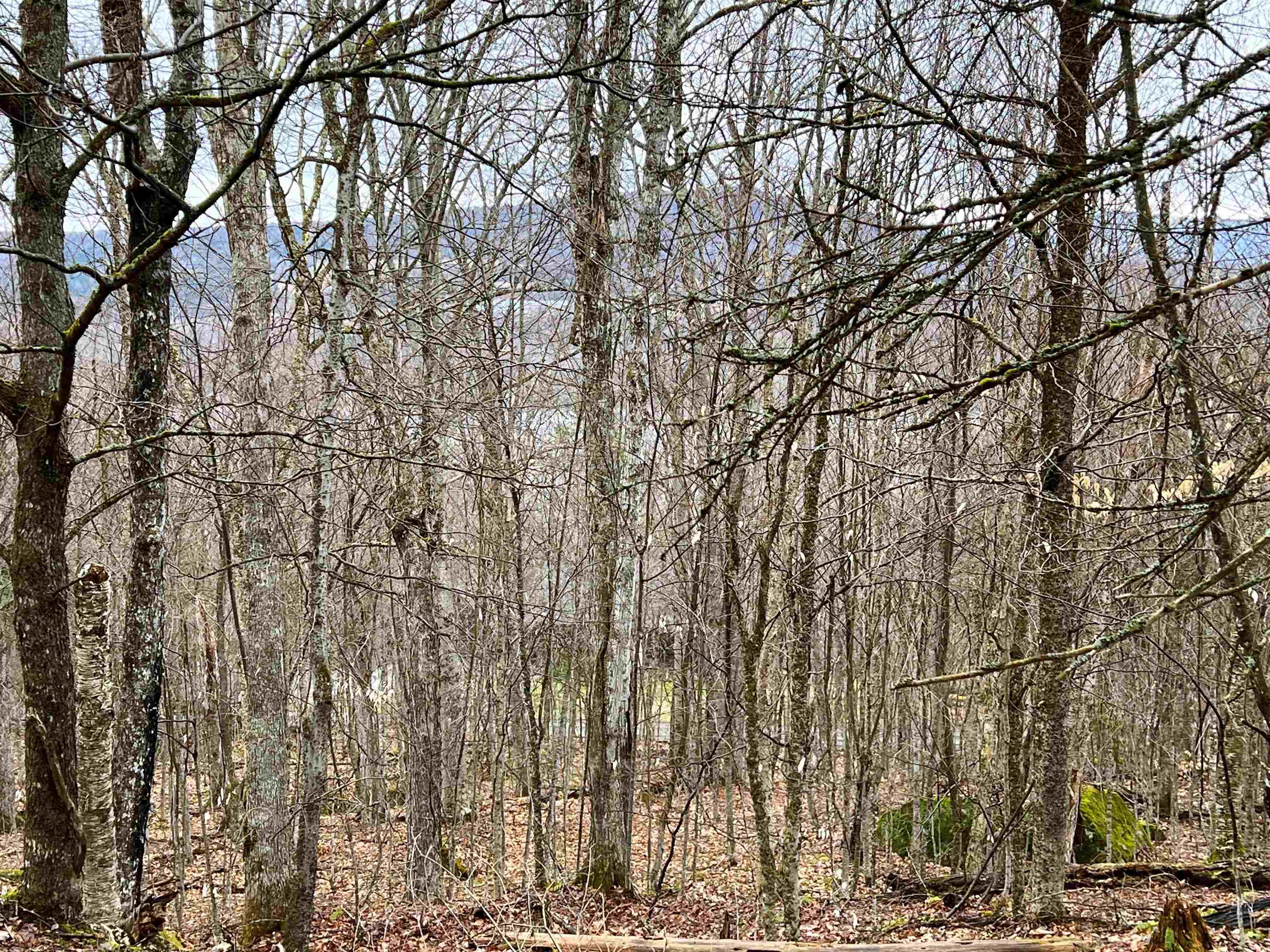 - Old Quarry Road, Unit 14 & 15 West Charleston, VT 05872 - Photo 16 of 34