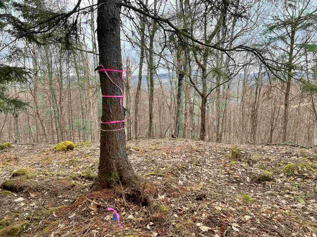 $119,500 | - Old Quarry Road, Unit 14 & 15, West Charleston, VT 05872