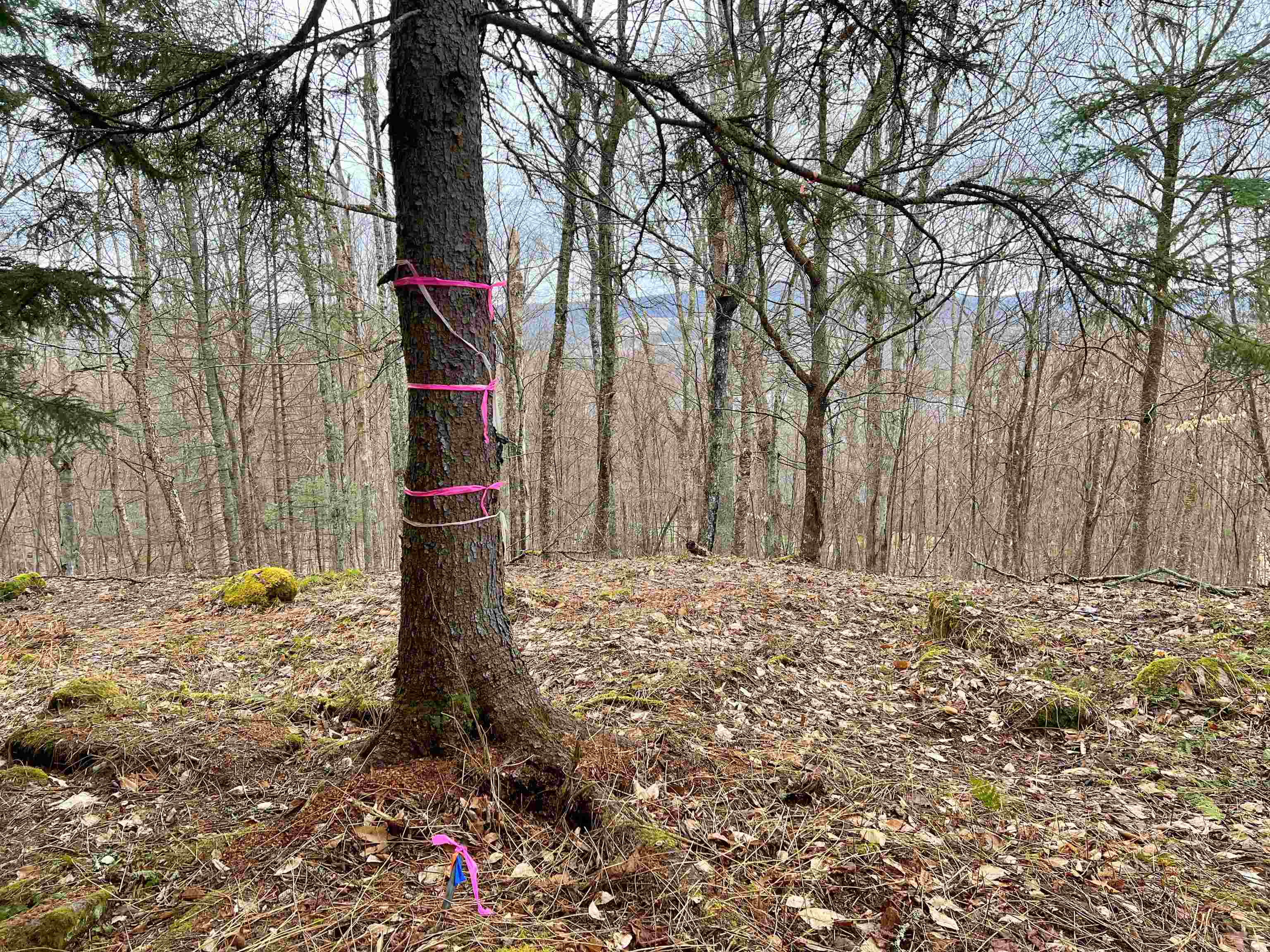 - Old Quarry Road, Unit 14 & 15 West Charleston, VT 05872 - Photo 17 of 34