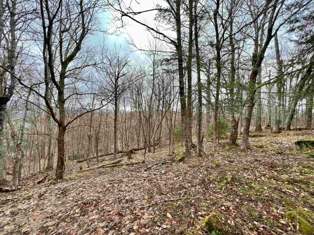 $119,500 | - Old Quarry Road, Unit 14 & 15, West Charleston, VT 05872