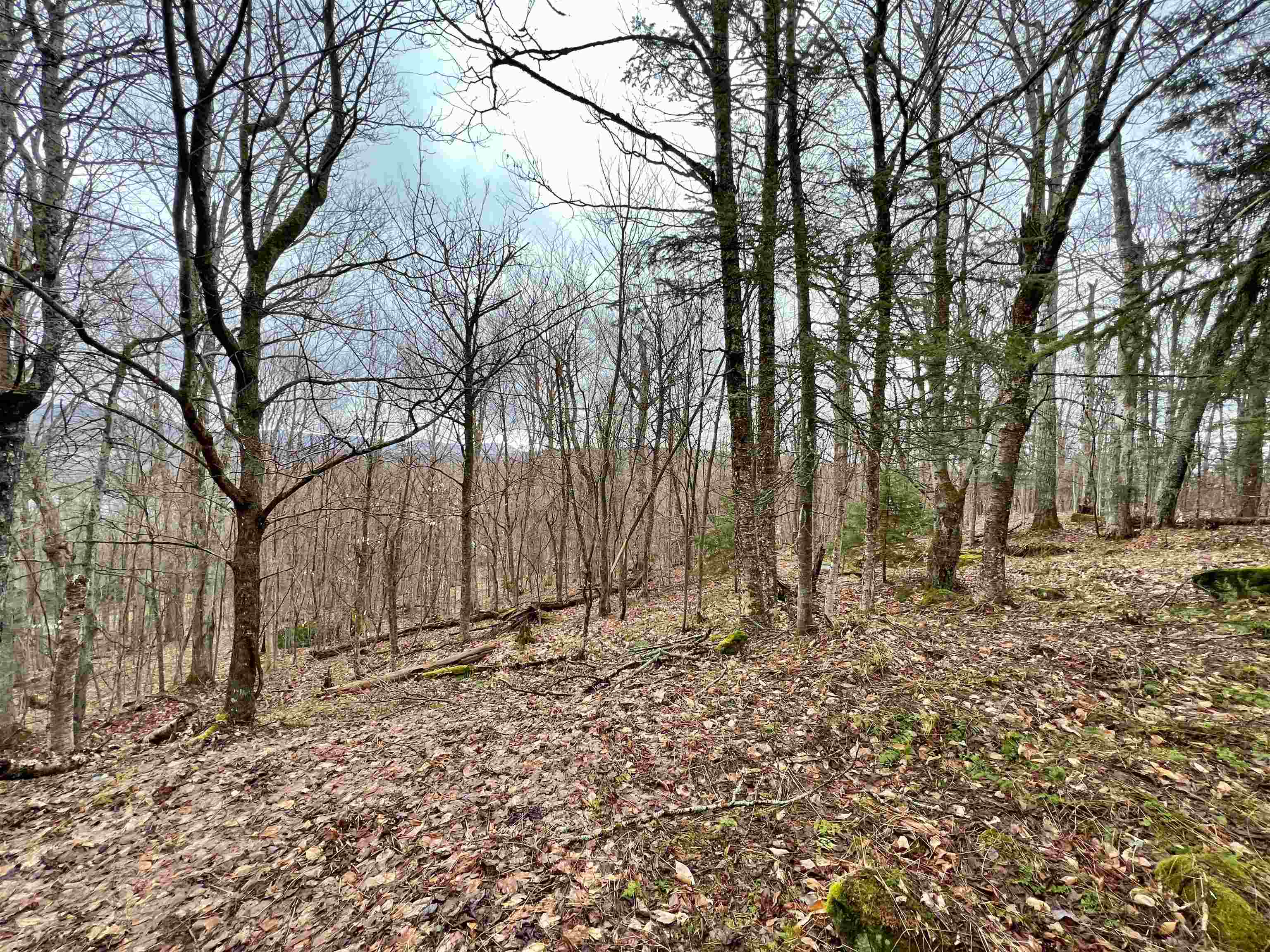 - Old Quarry Road, Unit 14 & 15 West Charleston, VT 05872 - Photo 18 of 34