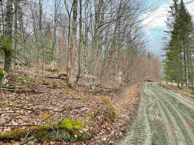 $119,500 | - Old Quarry Road, Unit 14 & 15, West Charleston, VT 05872