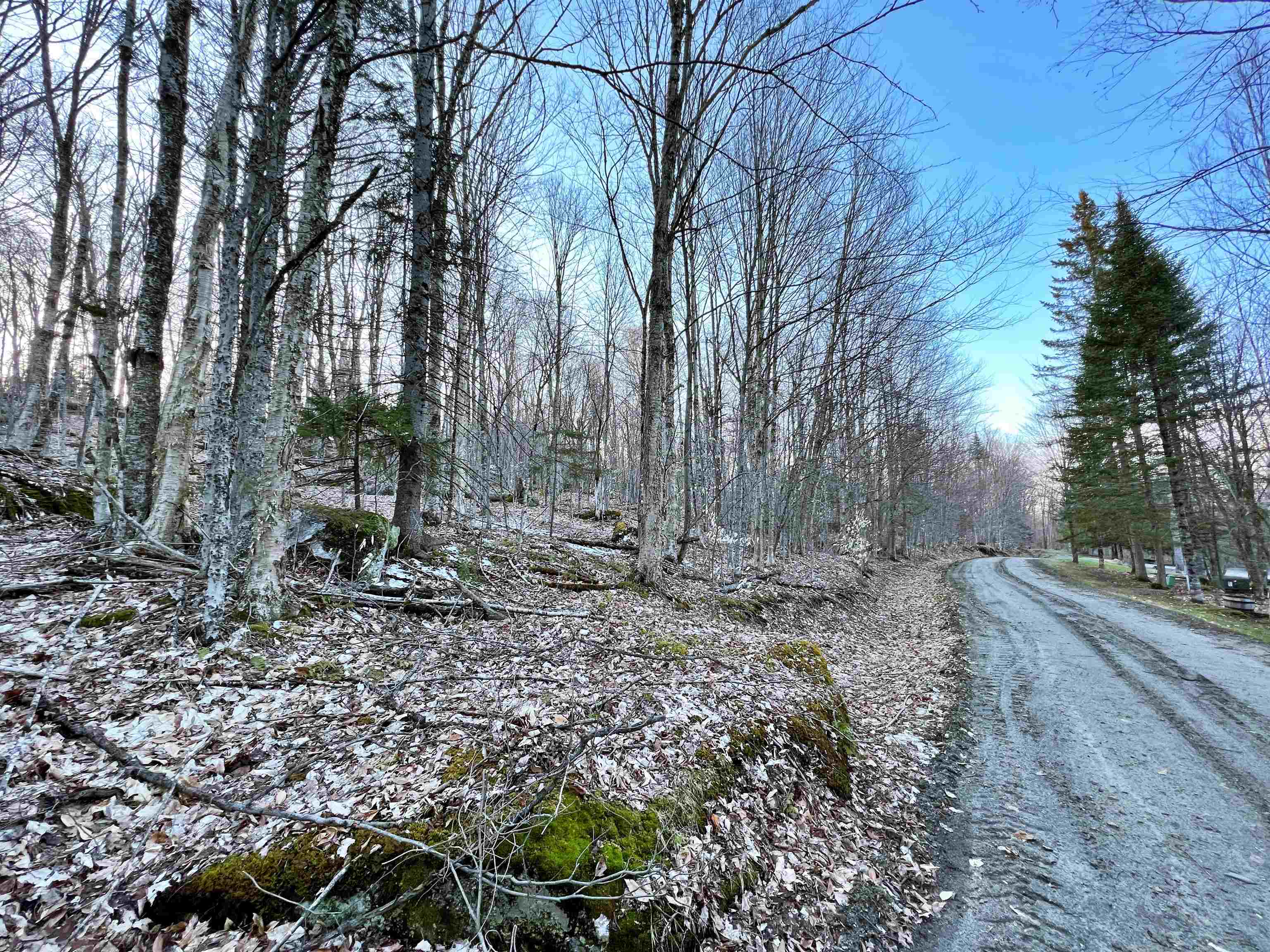 - Old Quarry Road, Unit 14 & 15 West Charleston, VT 05872 - Photo 10 of 34