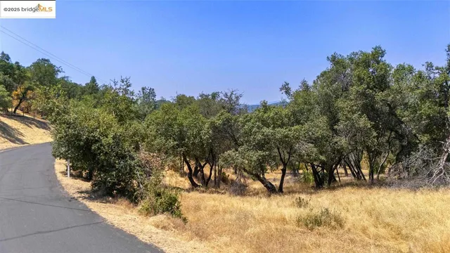 a view of a yard covered with snow in front of house