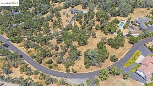 a view of a bird bath