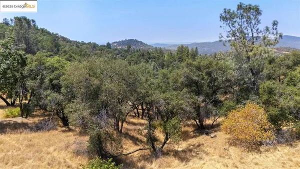 a view of a forest with a mountain in the background