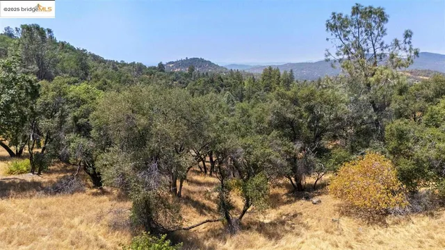 a view of a forest with a mountain in the background