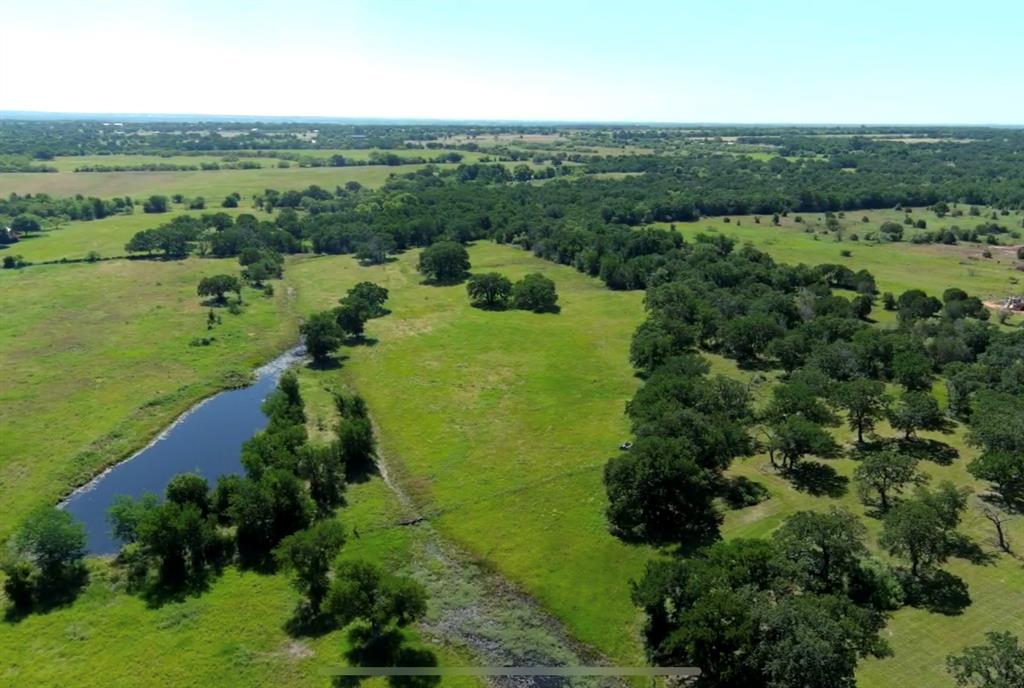 1407 Withers Road Mineral Wells, TX 76067 - Photo 34 of 38 an aerial view of green landscape with trees houses and lake view