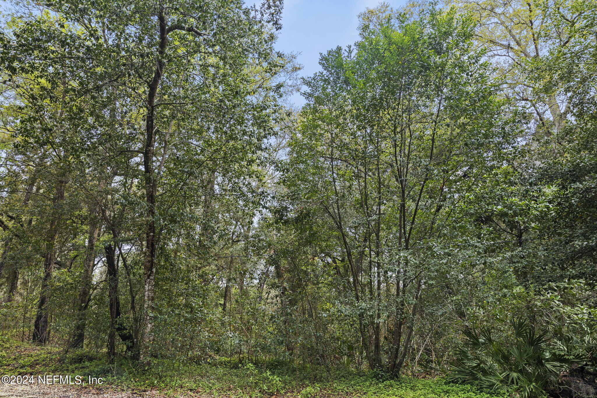 Lot 9 Quinlan Road East Jacksonville, FL 32225 - Photo 13 of 13 13-web-or-mls-quinlan-rd-e