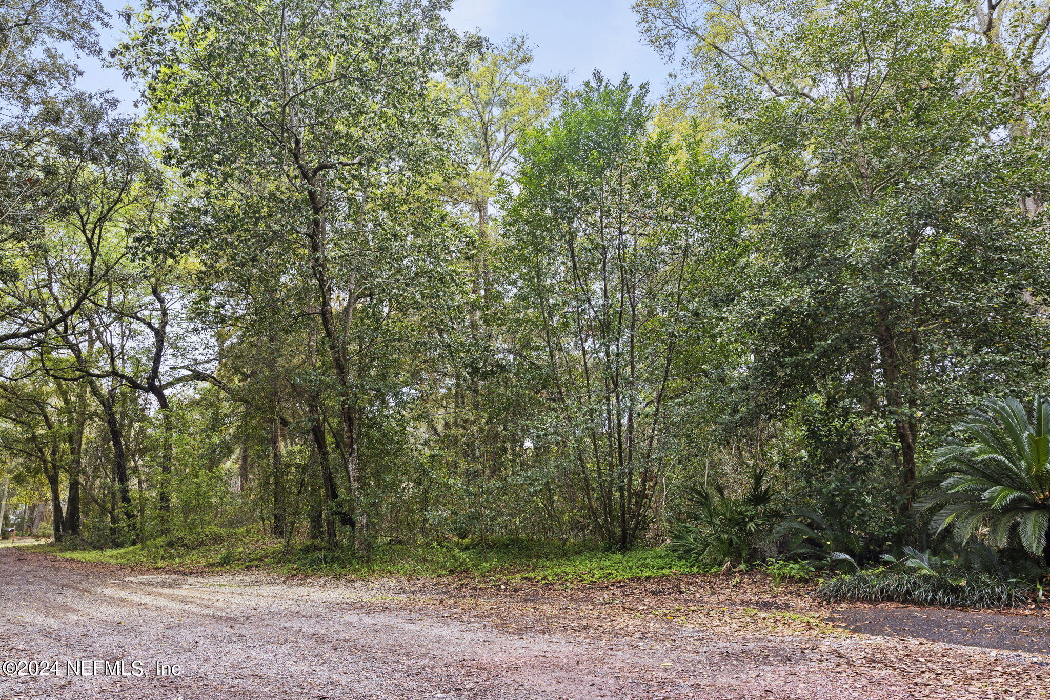 Lot 9 Quinlan Road East Jacksonville, FL 32225 - Photo 8 of 13 8-web-or-mls-quinlan-rd-e