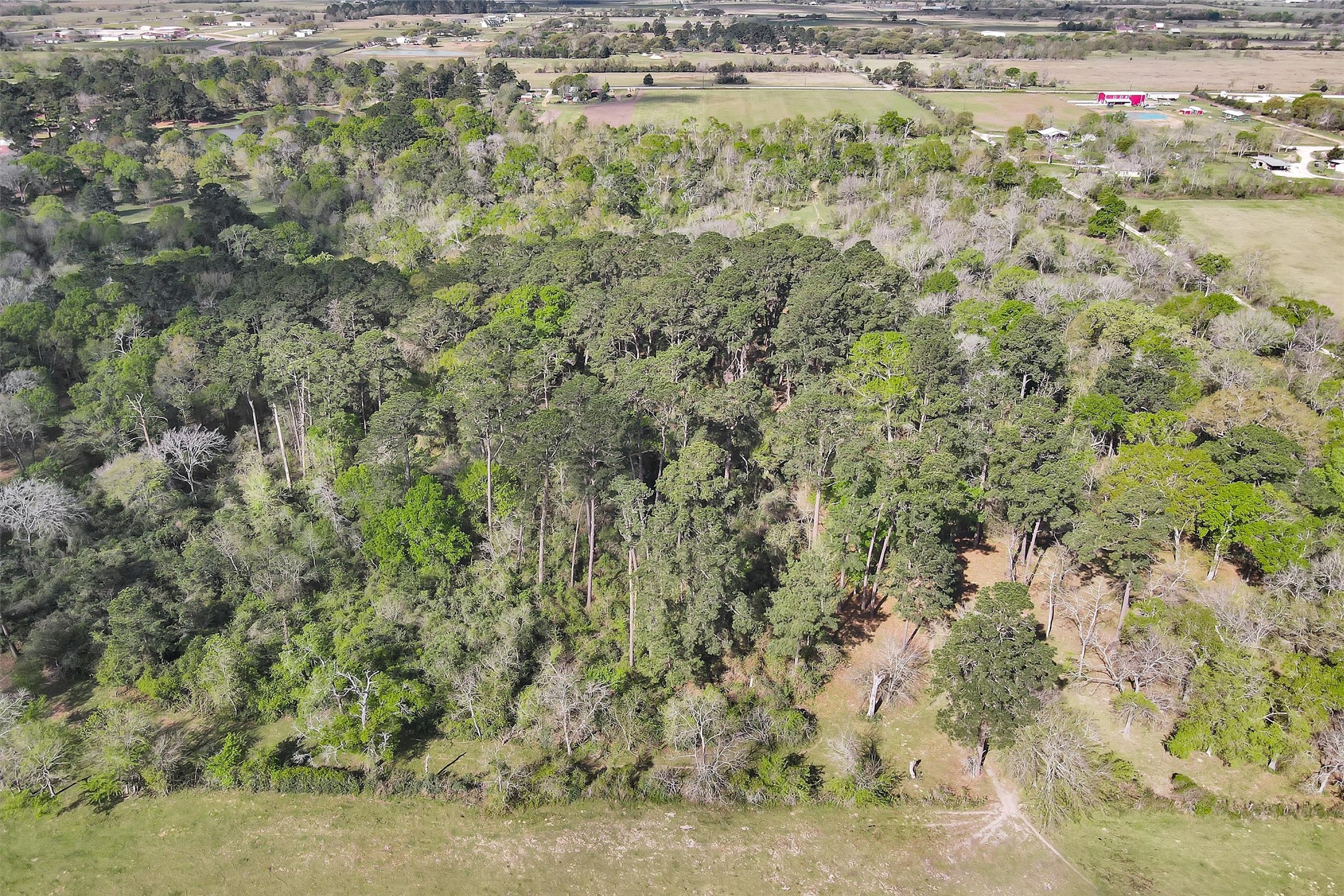 0 Fm 362 Waller, TX 77484 - Photo 12 of 15