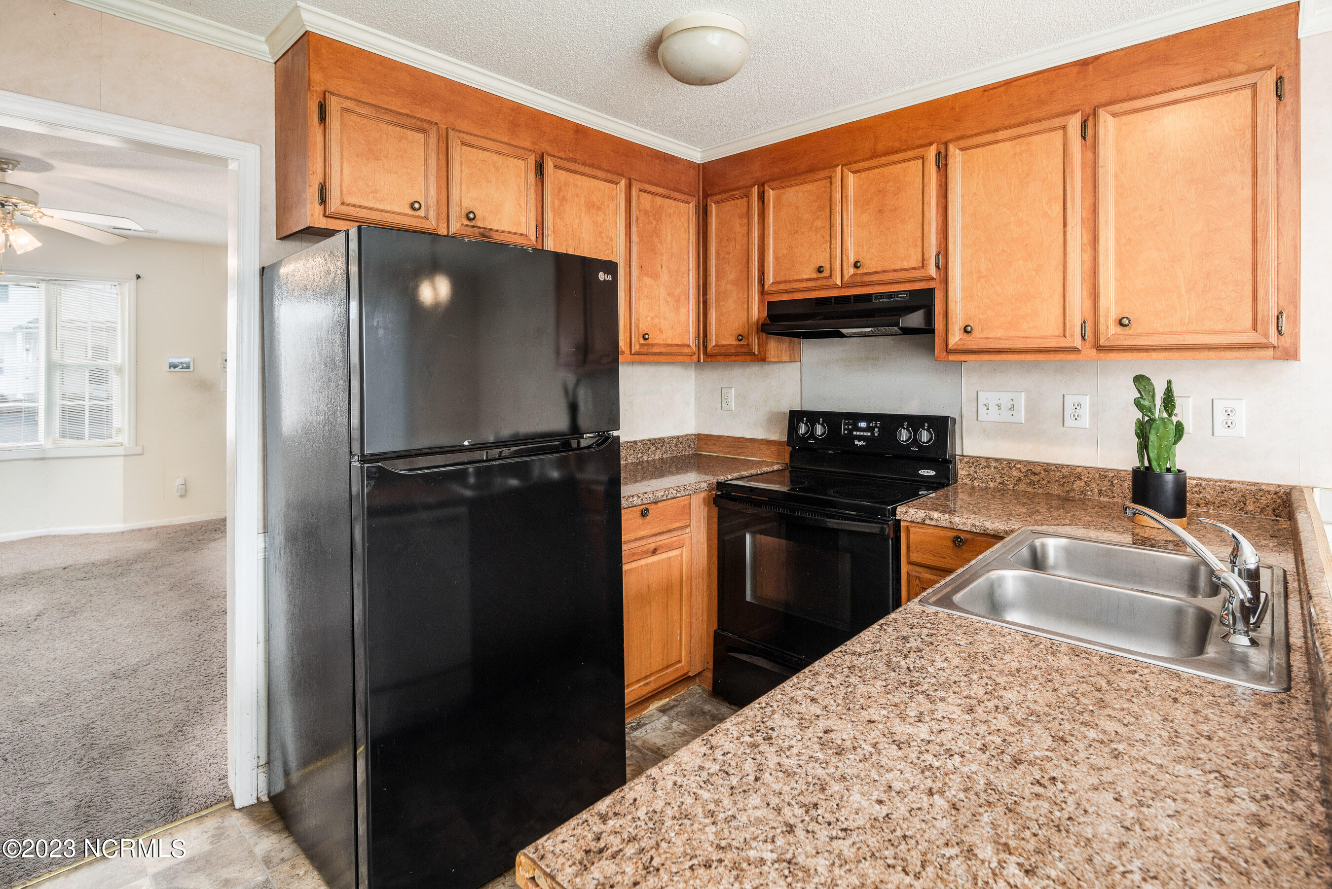 924 Spring Forest Road, Unit M3 Greenville, NC 27834 - Photo 11 of 27 20230113 MLS L_Skinner 924 M3 Spring For