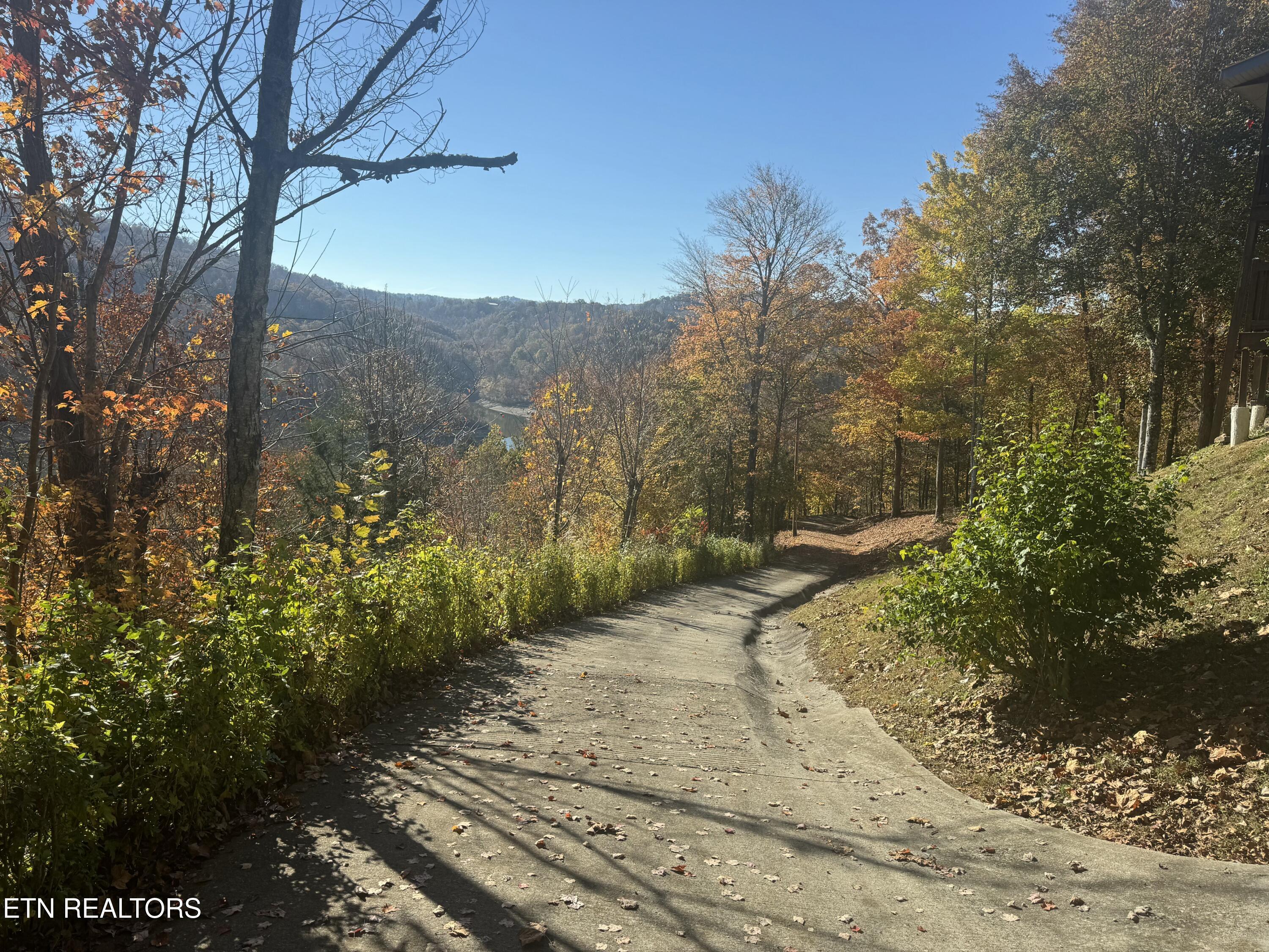 1738 Mountain Shores Road New Tazewell, TN 37825 - Photo 13 of 20 IMG_2213