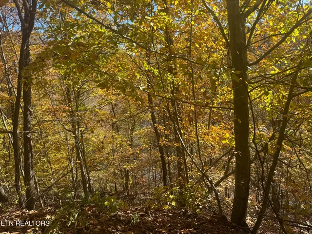 $625,000 | 1738 Mountain Shores Road, New Tazewell, TN 37825