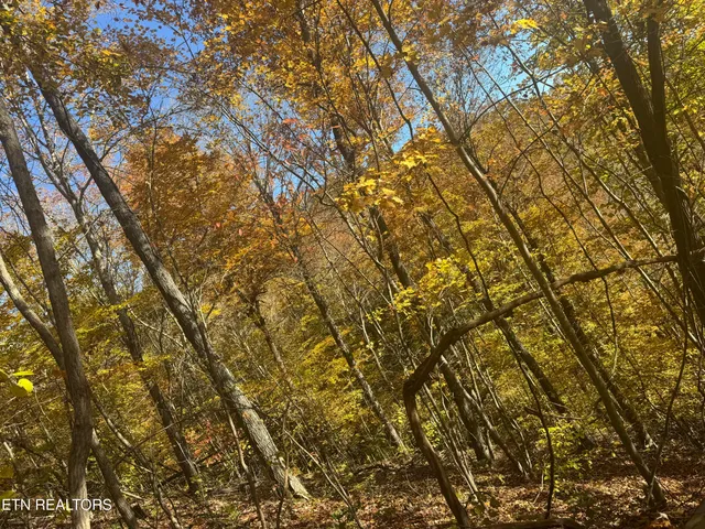 $625,000 | 1738 Mountain Shores Road, New Tazewell, TN 37825